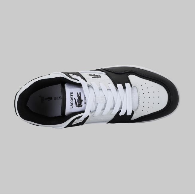 Tenis Lacoste Court Cage Hombre